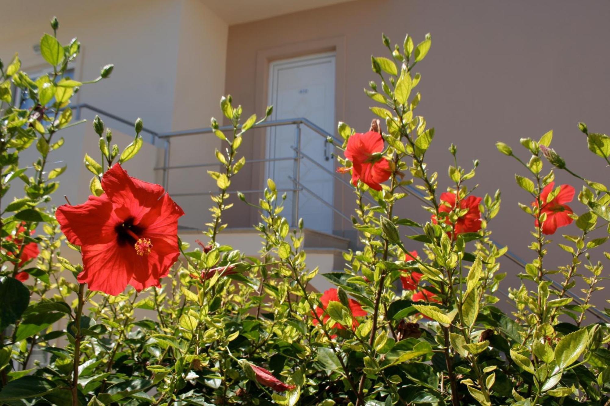 Amaryllis Front Beach Hotel Lárdosz Kültér fotó