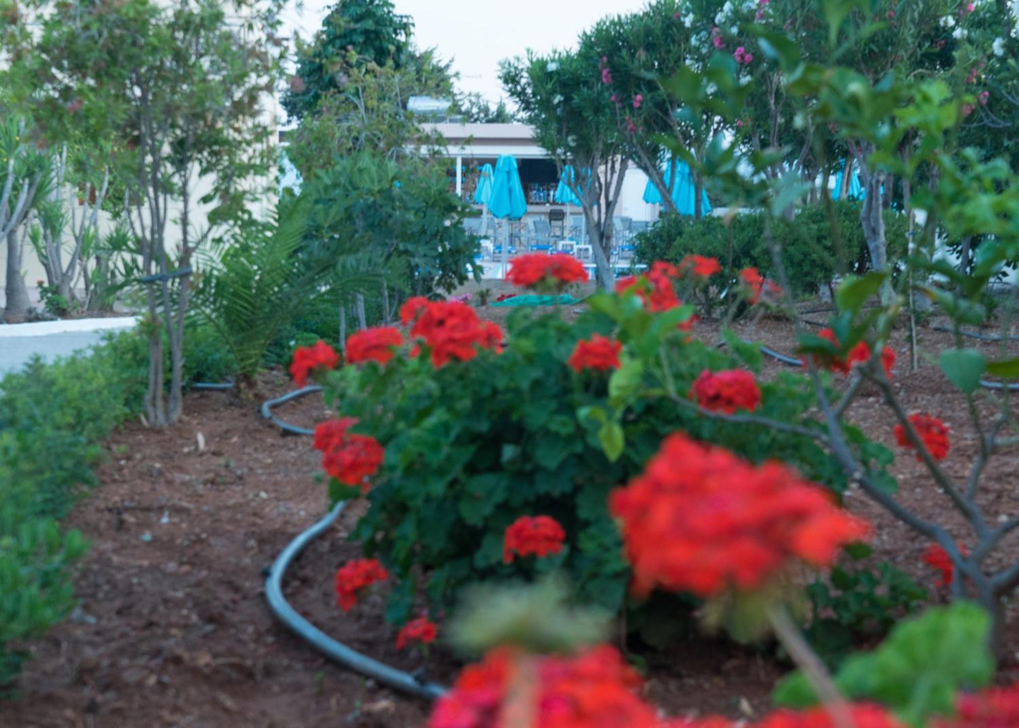 Amaryllis Front Beach Hotel Lárdosz Kültér fotó